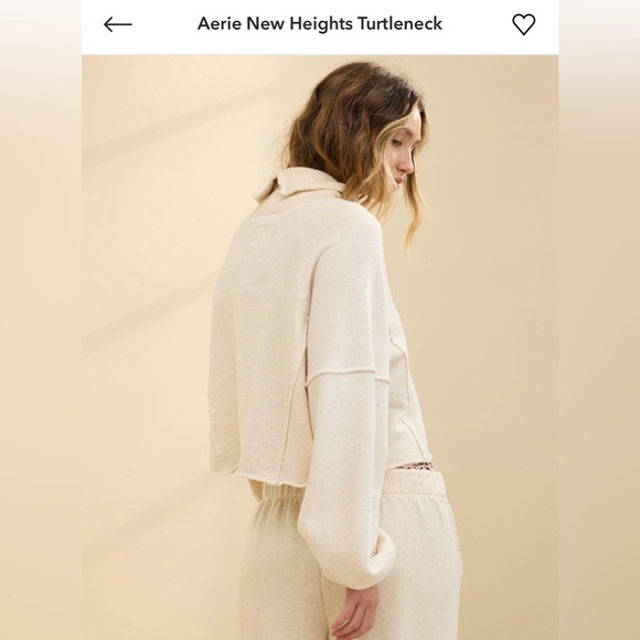 Aerie New Hights Turtleneck and Big Chill Jogger (2 Piece Set) - Picture 1 of 8